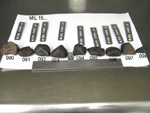 Lab Group  Photo of Sample MIL 15094 Displaying North Orientation