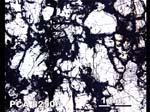 Thin Section Photograph of Sample PCA 82506 in Plane-Polarized Light