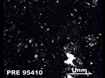 Thin Section Photo of Sample PRE 95410 in Plane-Polarized Light