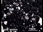 Thin Section Photo of Sample QUE 93004 in Plane-Polarized Light