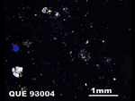 Thin Section Photo of Sample QUE 93004 in Cross-Polarized Light