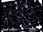 Thin Section Photo of Sample QUE 93017 in Plane-Polarized Light