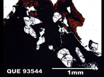 Thin Section Photograph of Sample QUE 93544 in Plane-Polarized Light