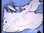Thin Section Photograph of Sample QUE 93544 in Reflective Light