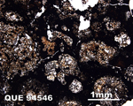 Thin Section Photo of Sample QUE 94546 in Plane-Polarized Light