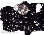 Thin Section Photograph of Sample QUE 94614 in Plane-Polarized Light