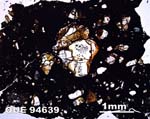 Thin Section Photograph of Sample QUE 94639 in Plane-Polarized Light