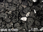 Thin Section Photo of Sample QUE 97289 in Reflected Light with 1.25x Magnification