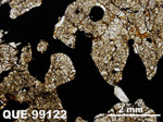 Thin Section Photo of Sample QUE 99122 in Plane-Polarized Light with 1.25x Magnification