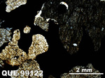Thin Section Photo of Sample QUE 99122 in Cross-Polarized Light with 1.25x Magnification