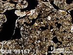 Thin Section Photo of Sample QUE 99157 in Plane-Polarized Light with 1.25x Magnification