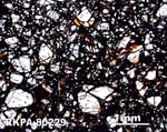 Thin Section Photograph of Sample RKPA80229 in Plane-Polarized Light