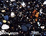 Thin Section Photograph of Sample RKPA80229 in Cross-Polarized Light