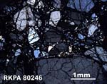 Thin Section Photograph of Sample RKPA80246 in Cross-Polarized Light