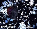 Thin Section Photograph of Sample RKPA80258 in Cross-Polarized Light