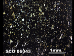 Thin Section Photograph of Sample SCO 06043 in Plane-Polarized Light