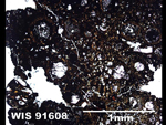 Thin Section Photograph of Sample WIS 91608 in Plane-Polarized Light