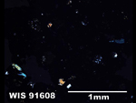 Thin Section Photo of Sample WIS 91608 in Cross-Polarized Light