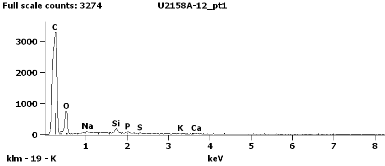 EDS Spectra for sample U2158-A-12 taken at test area 1.