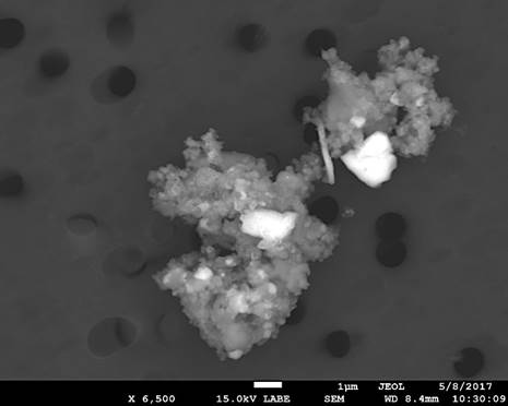 An interplanetary dust particle (IDP) from the Aircraft Collected Particle (ACP) collection. This cosmic dust is fine-grained, contains carbon, primitive silicates and sulfides, and is small – the scale bar at bottom center is 1 micrometer long.