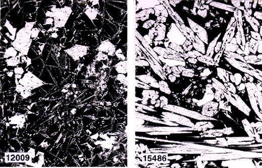 appendix image of samples 12009 and 15486