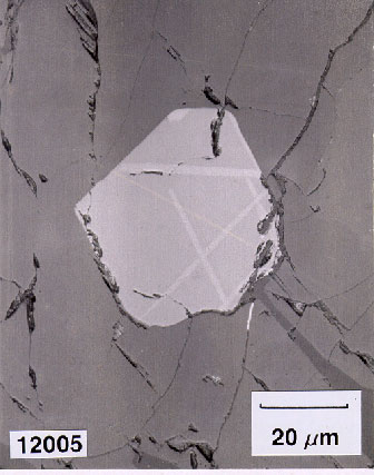 exsolution of ilmenite in 12005