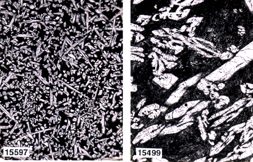 appendix image of samples 15597 and 15499