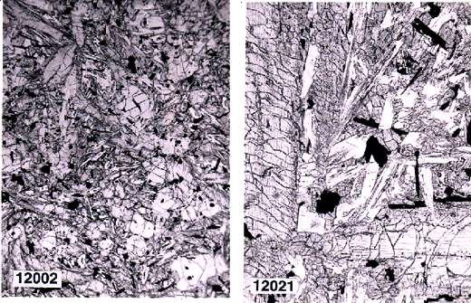 appendix image of sample 12002 and 12021
