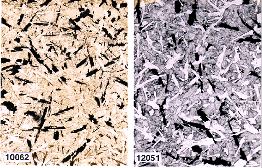 appendix image of samples 10062 and 12051