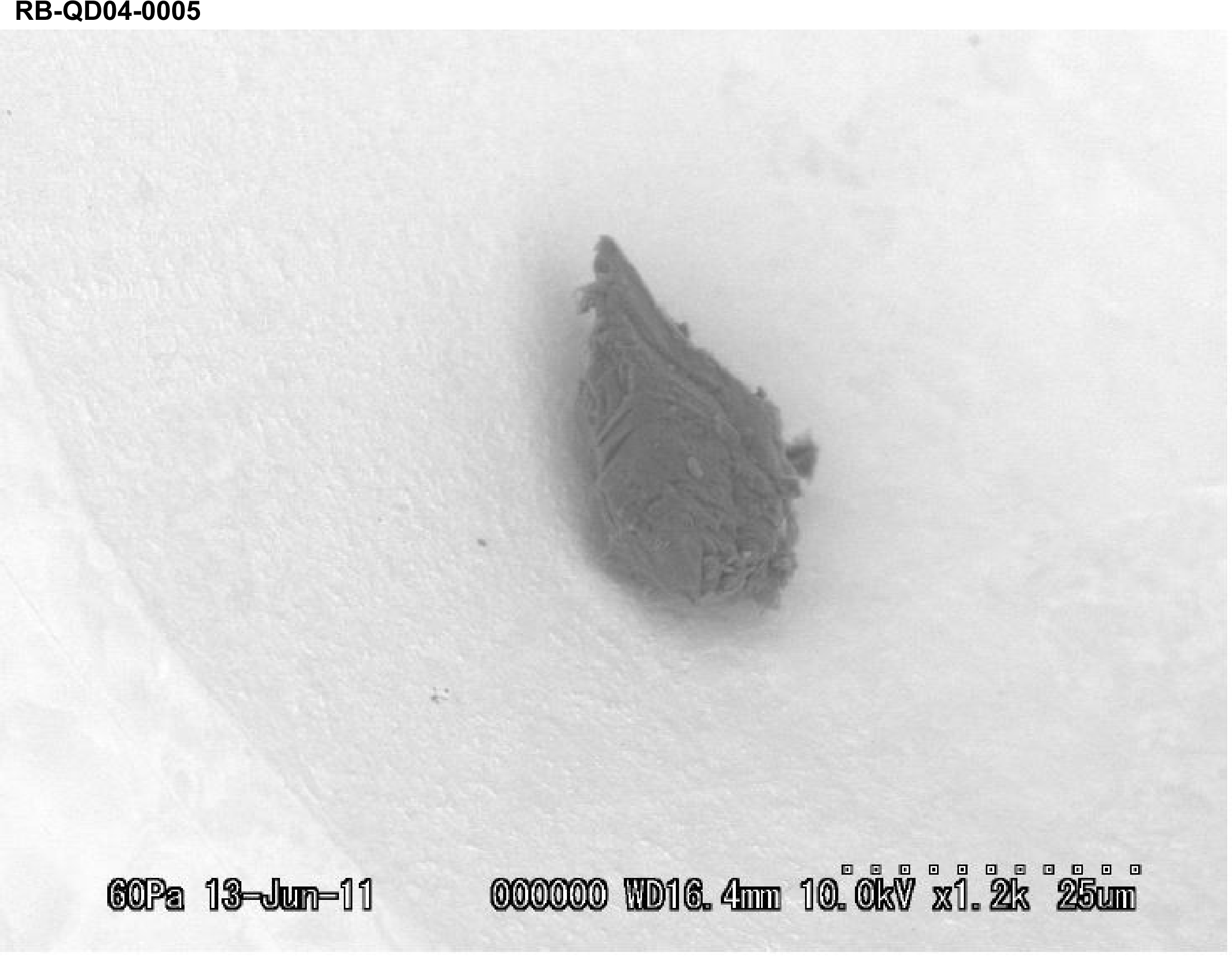 SEM Photo of sample RB-QD04-0005