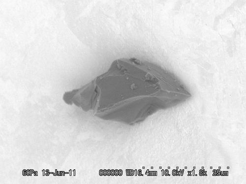 SEM Photo of sample RA-QD04-0002