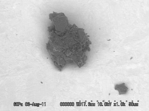 SEM Photo of sample RB-QD04-0038