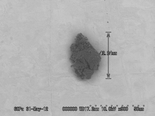 SEM Photo of sample RB-QD04-0104