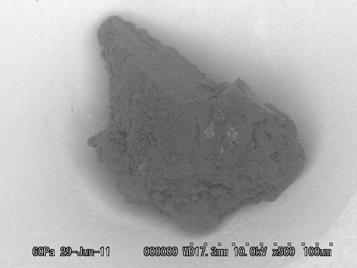 SEM Photo of sample RB-QD04-0030-01