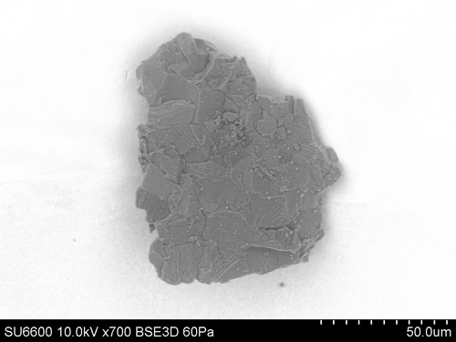 SEM Photo of sample RB-CV-0013