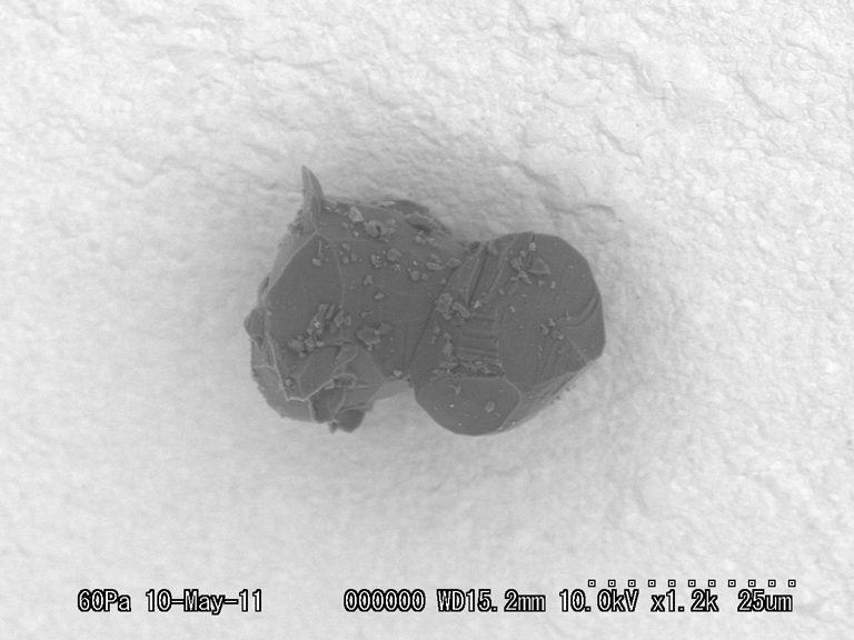 SEM Photo of sample RA-QD02-0130