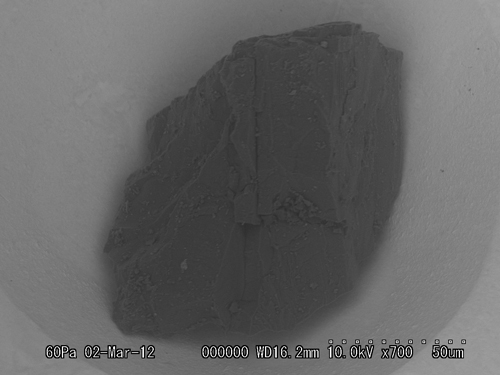 SEM Photo of sample RA-QD02-0084