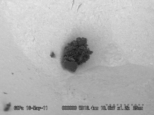 SEM Photo of sample RA-QD02-0137