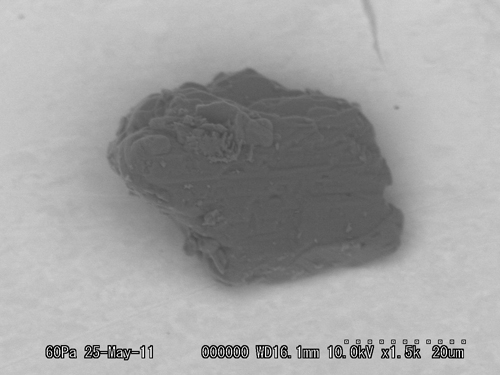 SEM Photo of sample RA-QD02-0143