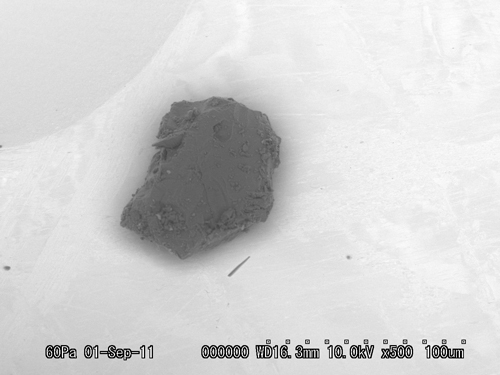 SEM Photo of sample RA-QD02-0151