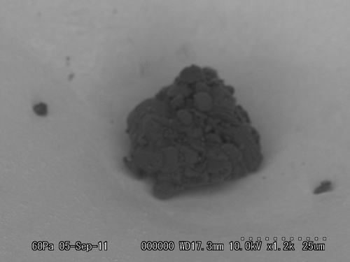 SEM Photo of sample RA-QD02-0155