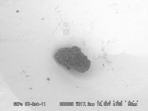 SEM Photo of sample RA-QD02-0192