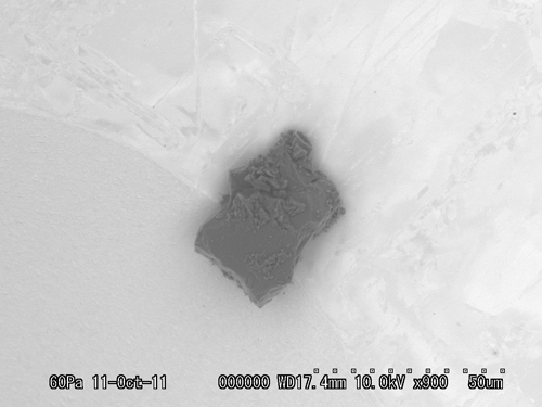 SEM Photo of sample RA-QD02-0193