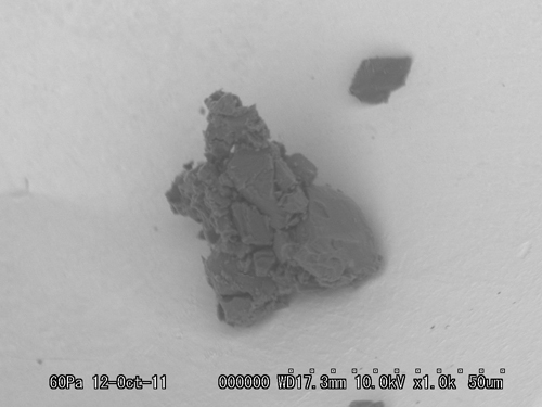 SEM Photo of sample RA-QD02-0201