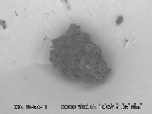SEM Photo of sample RA-QD02-0202-1