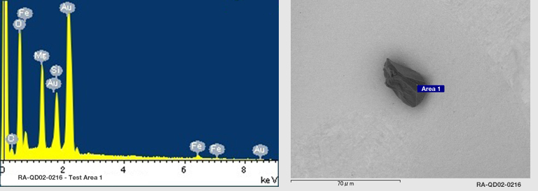 EDS Spectra for Sample RA-QD02-0216 taken at test area 1. The test area is labeled in grain photo.