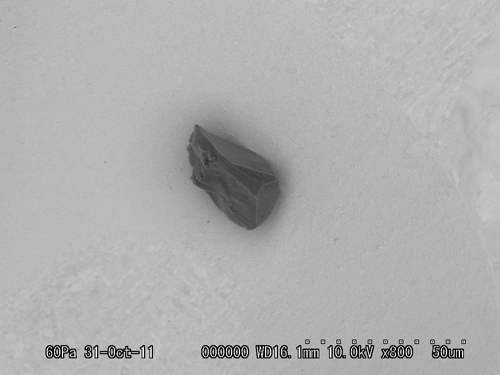SEM Photo of sample RA-QD02-0216