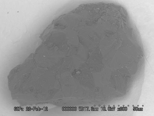 SEM Photo of sample RA-QD02-0248