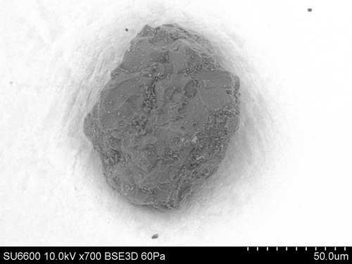 SEM Photo of sample RB-CV-0014