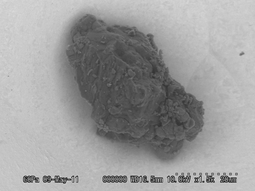SEM Photo of sample RA-QD02-0124
